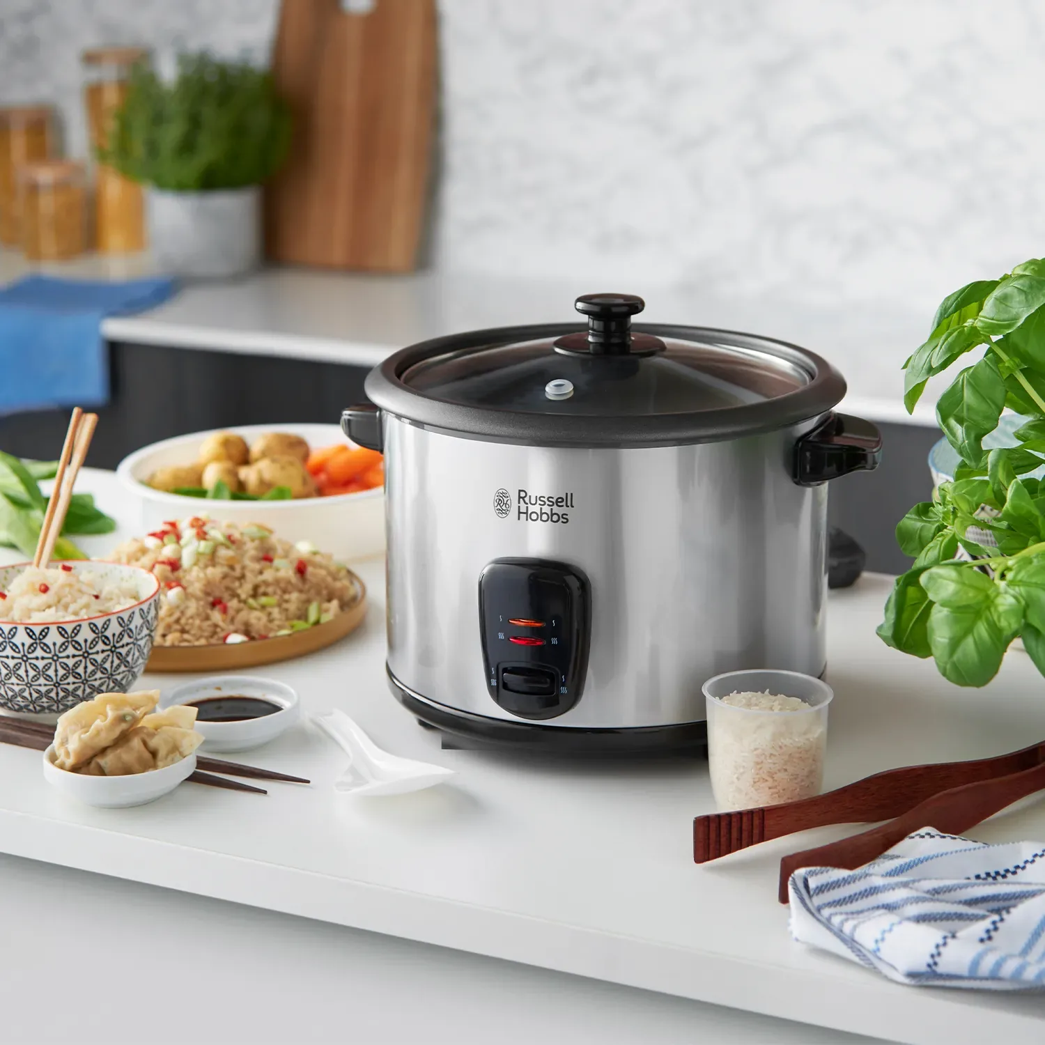 Рисоварка Russell Hobbs 19750-56